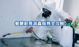 香港餐廳廚房滅蟲服務